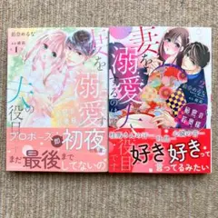 【美品・全巻・TL】 秘密の若奥様　妻を溺愛するのは夫の役目です　飴奈めるな