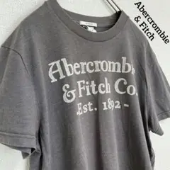 古着 アバクロ アバークロンビー Tシャツ 半袖 フロントプリント