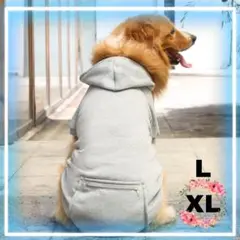 XL グレー パーカー 犬服 ドッグウェア ペット アウター