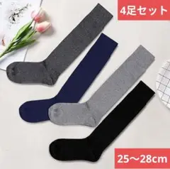 Item thumbnail for item 270579c4-33de-46a7-9dbe-993af479737b