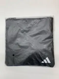 Item thumbnail for item 2d768ac5-d624-4aa8-99e3-973027d29189
