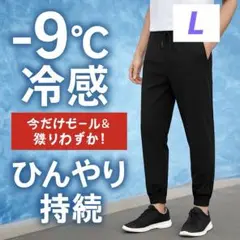 接触冷感 ジョガーパンツ メンズ レディース 伸縮性 速乾 軽量 夏服
