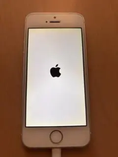 Apple iPhone SE シルバー 本体