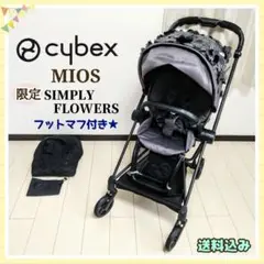 Item thumbnail for item faecd327-f569-4011-a647-1f355567402c