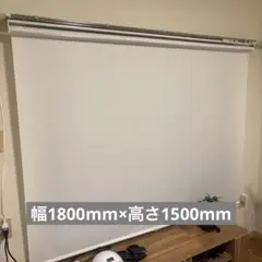 ホワイト ロールスクリーン 幅約100cm