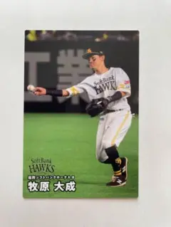 Item thumbnail for item 0f1303c6-23f7-4714-9681-b8e90955a11d