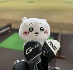 Item thumbnail for item 36726115-ddc9-427d-abfd-82395fbfda0a