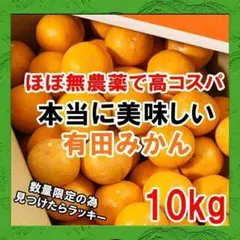 コスパ最高!ほぼ無農薬(減農薬)ご家庭用みかん【早生】有田みかん 10kg