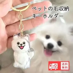 Item thumbnail for item ad3b7669-e949-41ba-a4c5-8d0131263dc9