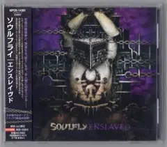 グルーヴメタル〇SOULFLY／ソウルフライ 12年8th