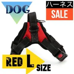 Item thumbnail for item e9a91349-1d7e-4d82-b2a9-d562b09846cf