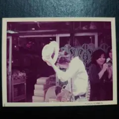 沢田研二 生写真 115