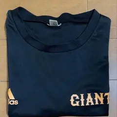 【古着】adidas GIANTS Tシャツ 80周年記念