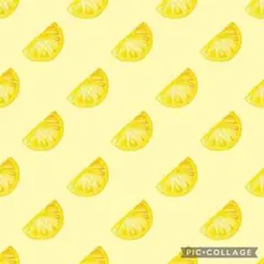 短！紫蘇ローズ★優しく作られたリネン麻生地★ナチュラル系 浜松 ワッシャー40
