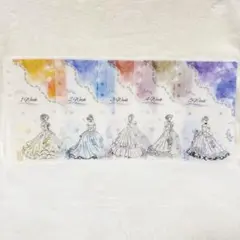 大理石プリンセス②weeklyタイプ　A6 saving リフィルバインダー貯金