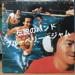 【レア】ブルーベリー・ジャム blueberry jam レコード LP