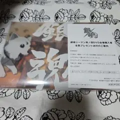 非売品 銀魂 シーズン其ノ四 DVD 全巻購入者 特典