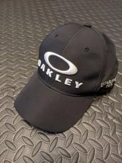 Item thumbnail for item 8ef4d4d6-24ab-4fb6-8db3-8d8d78d4d535