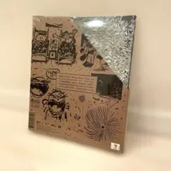 BTS RM Right Place, Wrong Person C 新品未開封