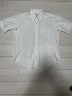 Item thumbnail for item 8f666ffa-30cd-4961-8c6e-ba1c5a229bc2