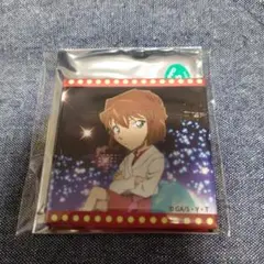 名探偵コナン　コナンランド　灰原