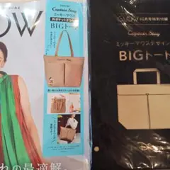 GLOW10月号　付録のみ
