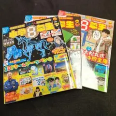 小学8年生3冊セット③
