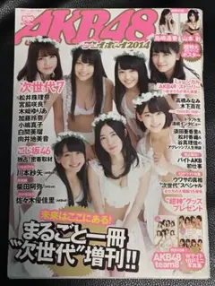 週刊プレイボーイ 増刊 2014年12月10日号