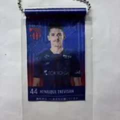 FC東京 エンリケトレヴィザン選手