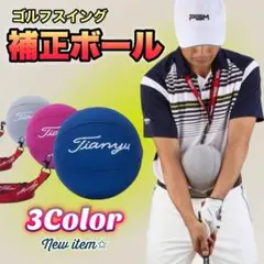【最終値下げ！】ネイビー スイングゴルフ練習器具 矯正 キャンディボール ゴルフ