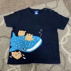 美ら海水族館 Tシャツ 90cm