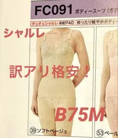 Item thumbnail for item 303eda16-ab4e-4635-b8ae-3a431f11a251