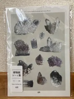 ルーチカ 博物画シート集 12枚
