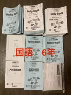 2025年最新】sapix 6年 国語 デイリーチェックの人気アイテム