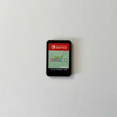 あつまれどうぶつの森　ソフト