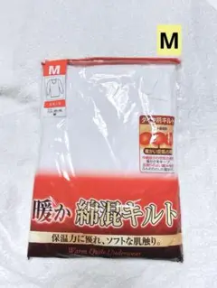 Item thumbnail for item 3d367989-1e12-4db3-aaa7-eaf1642cf561