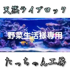 野菜生活様専用 ライブロック 10kg