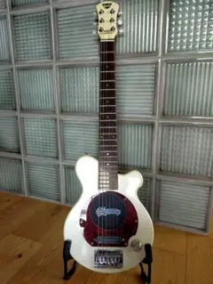 Pignose PGG-100T アームタイプ(★レア)／ピグノーズ ギター pgg200v_2.jpg