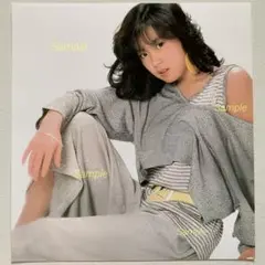 中森明菜　写真　230825B