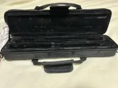 Item thumbnail for item e595882c-4773-439e-89e8-8e701bb4fe03