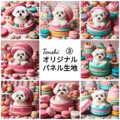 数量限定！即購入可❤マルチーズ　マカロン　デザート　スイーツ　カラフル　ポップ