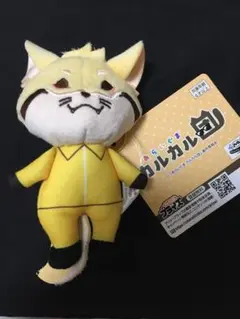 あらいぐま カルカル団 マスコット コミカル