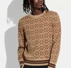超美品！ COACH コーチ ニット シグネチャー 総柄 メンズ ウール M