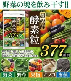SNSで話題 ❗️超醗酵 酵素粒ダイエット❗️377種類 キノコ 菌活ダイエット