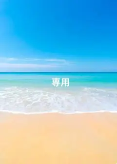 専用　おまとめ