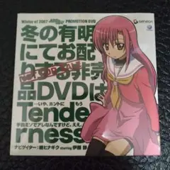 Winter of 2007 ハヤテのごとく! promotion DVD