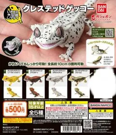 クレステッドゲッコー　セミコンプ　レア以外４個セット　いきもの大図鑑レプティ