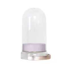 Item thumbnail for item dd8cc16a-4ee6-4476-9db4-d8093e917c63