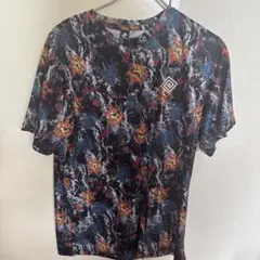 Item thumbnail for item 8fa5650d-fffe-495c-be0c-eda41cdda4cf