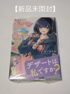 【新品未開封】 偶然助けた美少女がなぜか俺に懐いてしまった件について2